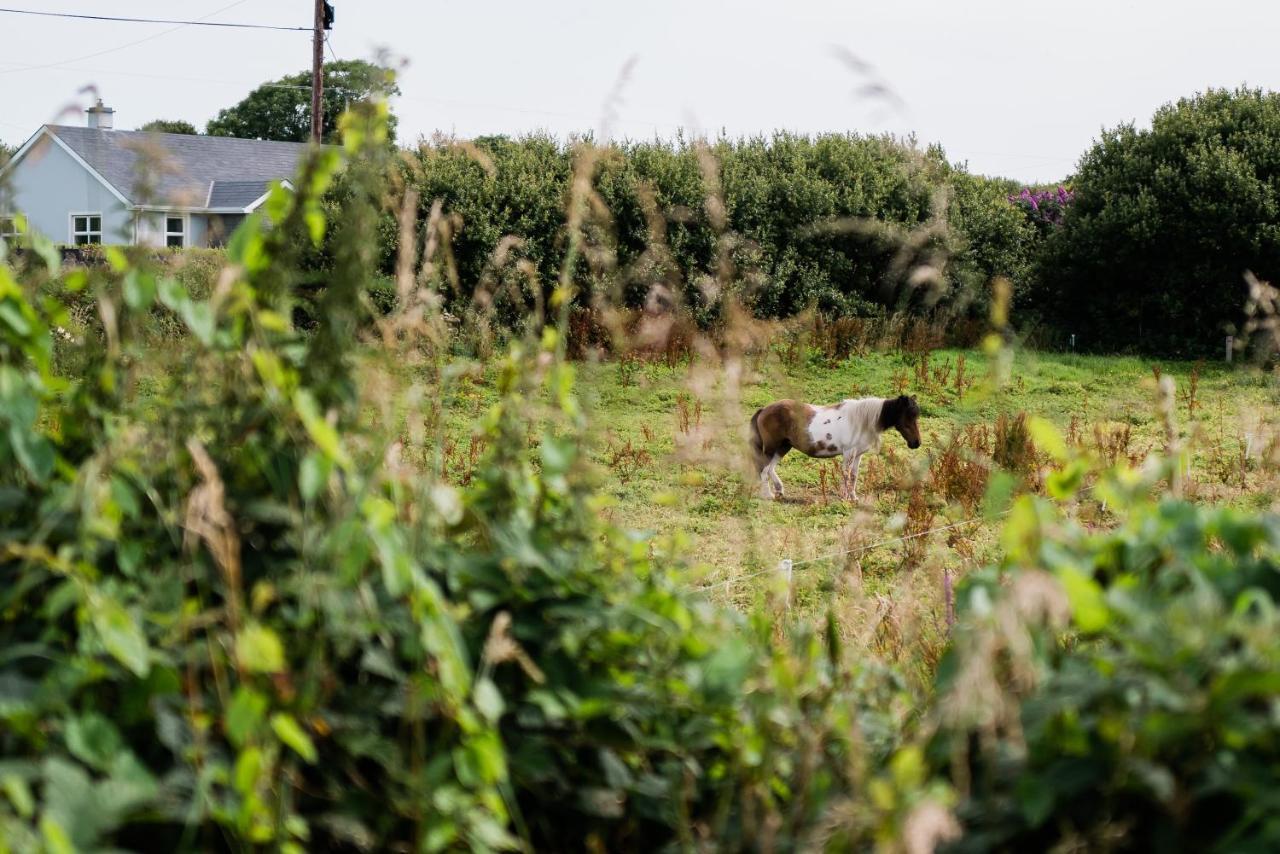 Modern Self Catering Apartment, Miltown Malbay Milltown Malbay Buitenkant foto